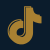 tiktok icon